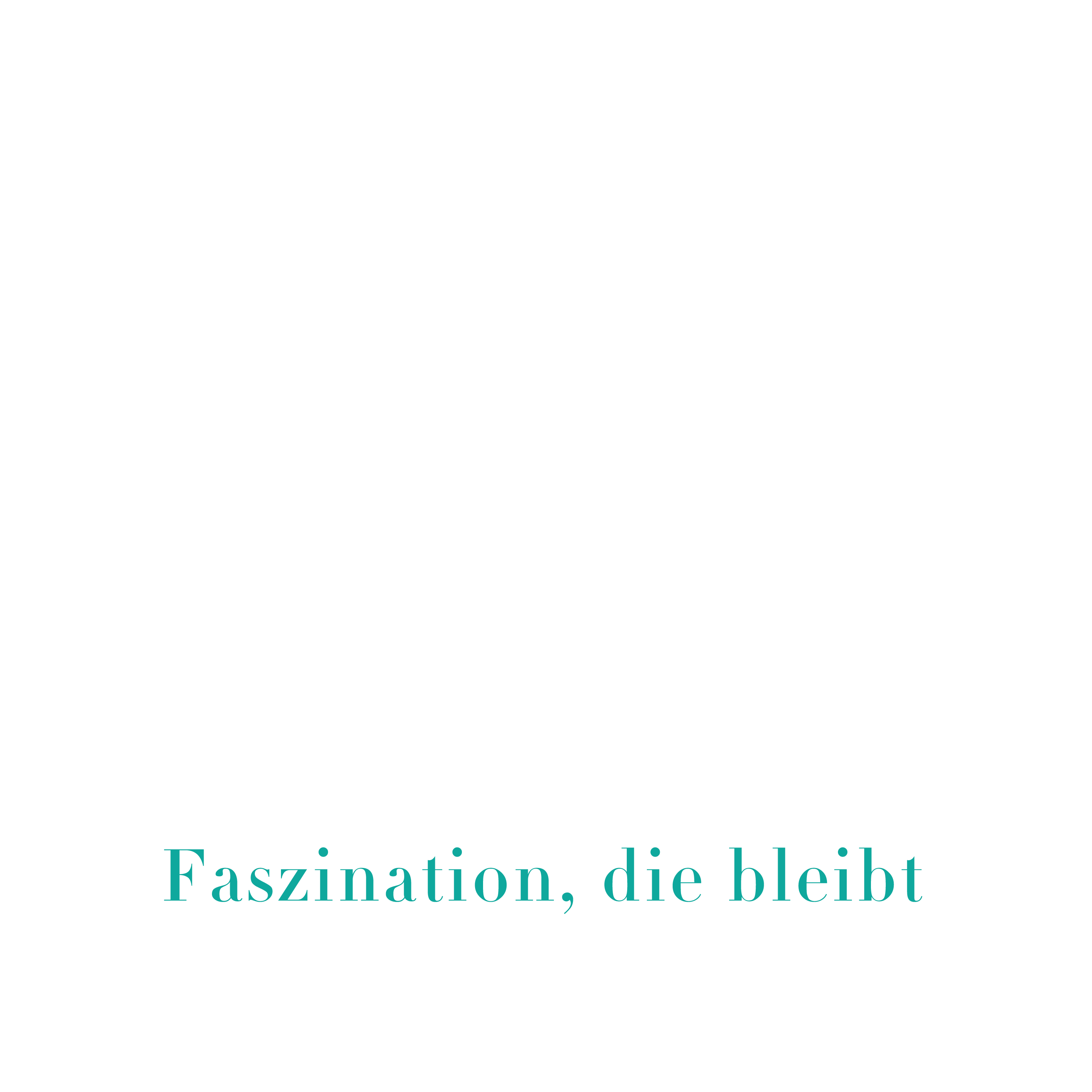 LeCarousel Logo